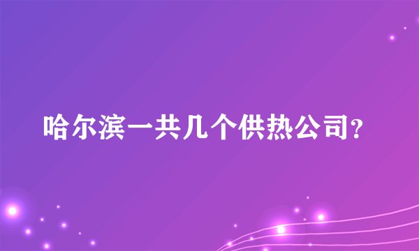哈尔滨一共几个供热公司？