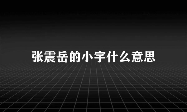 张震岳的小宇什么意思