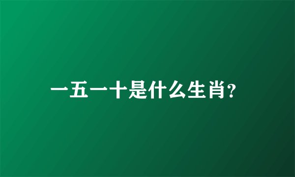 一五一十是什么生肖？