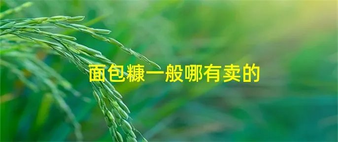 面包糠一般哪有卖的