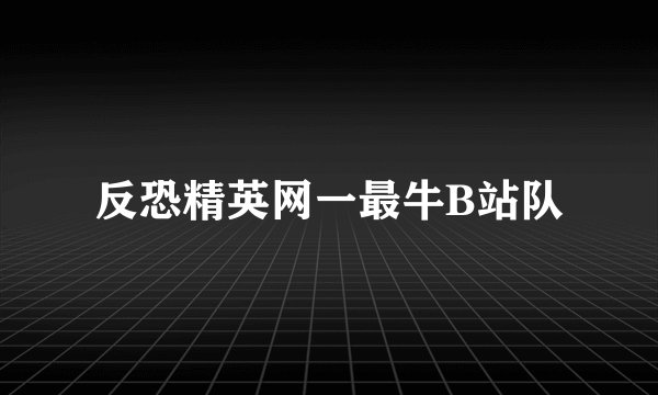 反恐精英网一最牛B站队