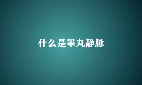 什么是睾丸静脉