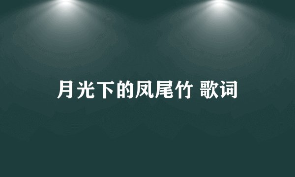 月光下的凤尾竹 歌词