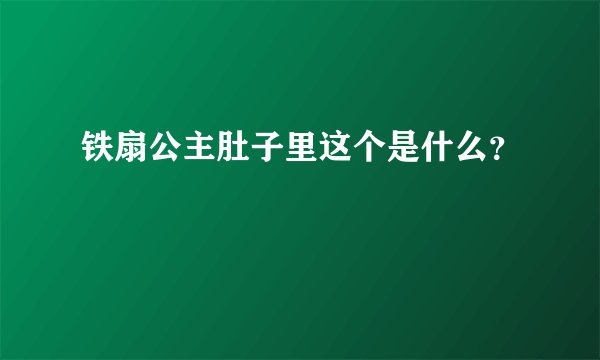 铁扇公主肚子里这个是什么？
