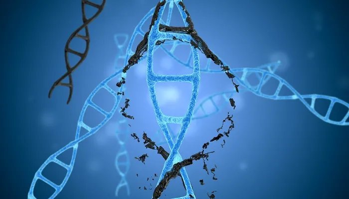 基因突变和基因重组的区别 基因突变和基因重组有什么不一样
