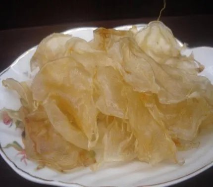 花胶是什么东西？