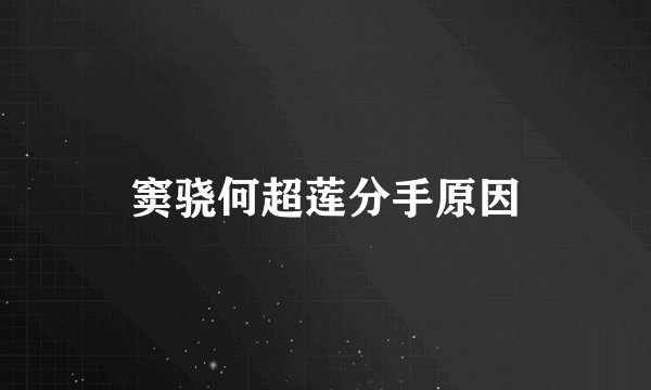 窦骁何超莲分手原因