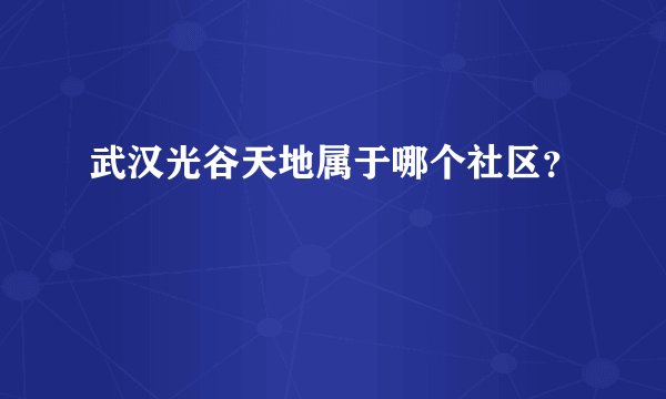 武汉光谷天地属于哪个社区？