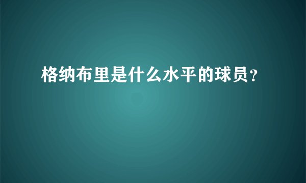 格纳布里是什么水平的球员?