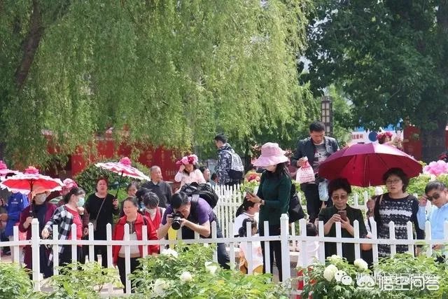 菏泽牡丹花会2019人多吗?