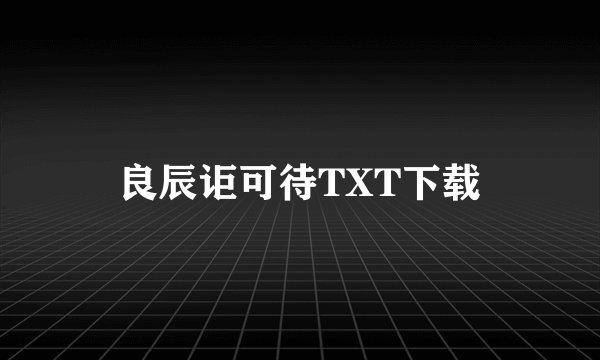 良辰讵可待TXT下载