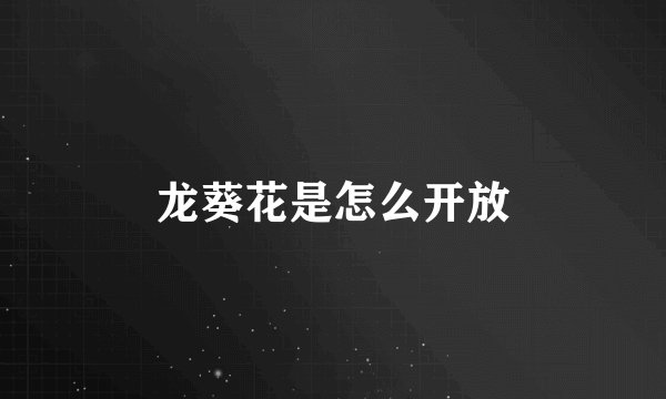 龙葵花是怎么开放