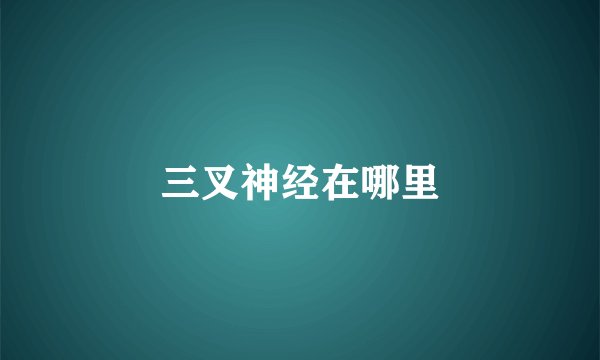 三叉神经在哪里