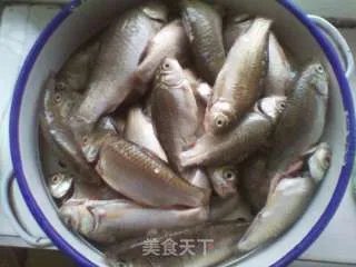 罐头鱼