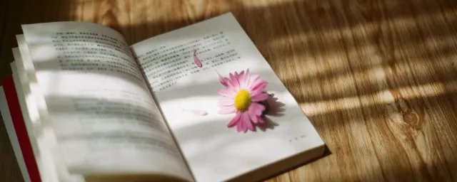 成皋怎么读