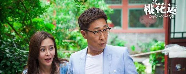 桃花运电视剧推荐 桃花运电视剧推荐简述