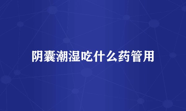阴囊潮湿吃什么药管用