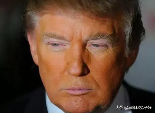 特朗普的女婿库什纳为什么已承认特朗普败选?