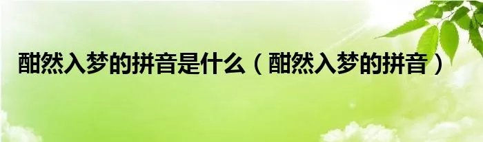 酣然入梦的拼音是什么（酣然入梦的拼音）
