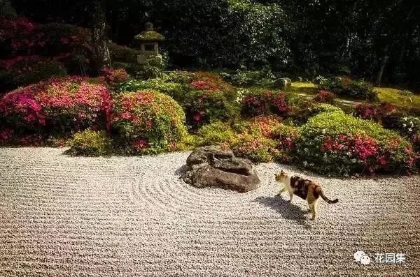 枯山水之置石造景艺术,就是这么有魅力~