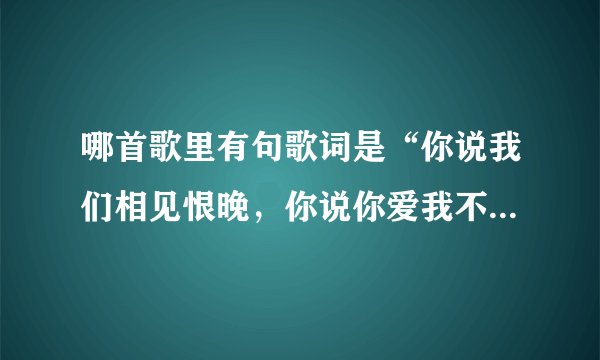 哪首歌里有句歌词是“你说我们相见恨晚，你说你爱我不够勇敢”