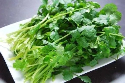 芫荽怎么读
