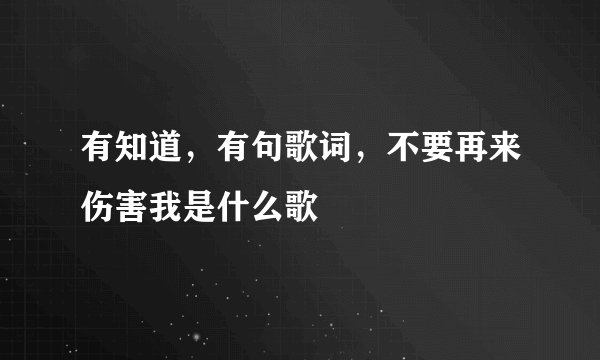 有知道，有句歌词，不要再来伤害我是什么歌