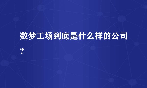 数梦工场到底是什么样的公司？