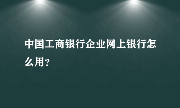 中国工商银行企业网上银行怎么用？
