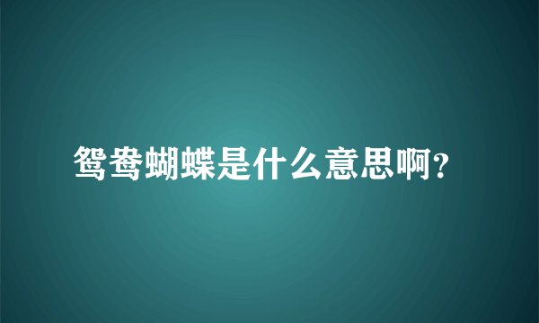 鸳鸯蝴蝶是什么意思啊？