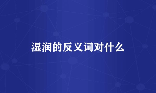 湿润的反义词对什么
