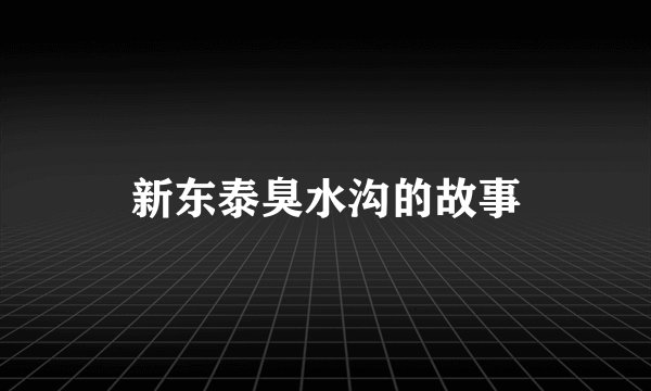 新东泰臭水沟的故事