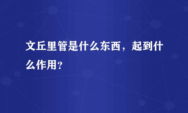 文丘里管是什么东西,起到什么作用?