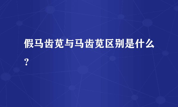 假马齿苋与马齿苋区别是什么？