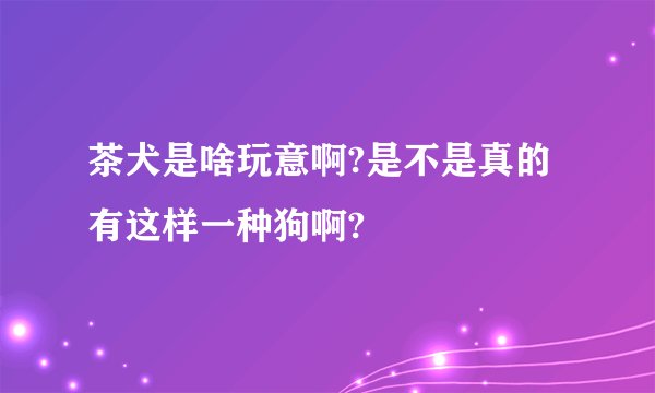 茶犬是啥玩意啊?是不是真的有这样一种狗啊?