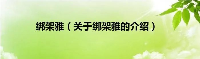 绑架雅（关于绑架雅的介绍）