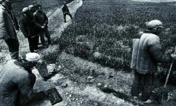 40年前,号称中国第一农村改革的第一村“小岗村”,如今变怎么样了?
