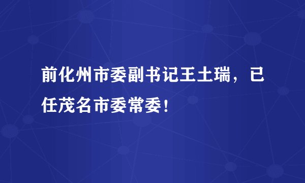 前化州市委副书记王土瑞,已任茂名市委常委!
