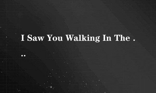 I Saw You Walking In The Rain这首歌的附带中文翻译