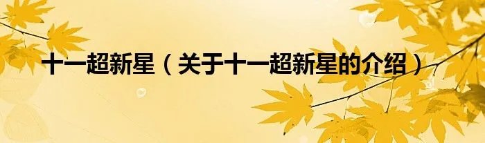 十一超新星（关于十一超新星的介绍）