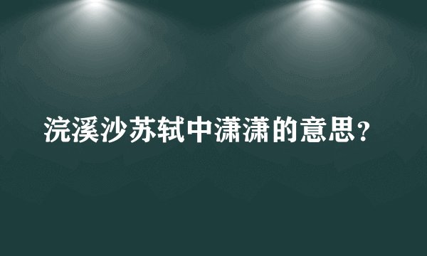 浣溪沙苏轼中潇潇的意思？