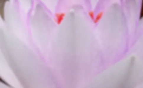描写夏至的诗句
