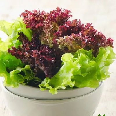 孕妇可以吃人参果吗