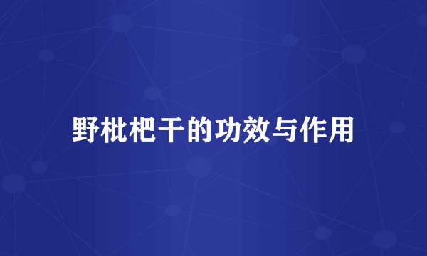野枇杷干的功效与作用