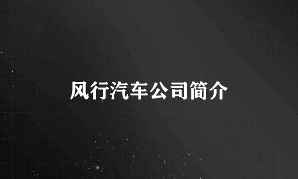 风行汽车公司简介