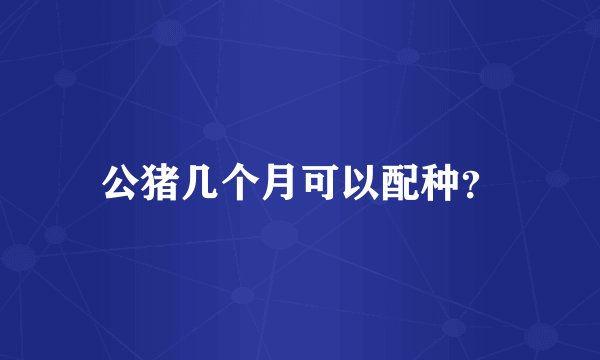 公猪几个月可以配种?