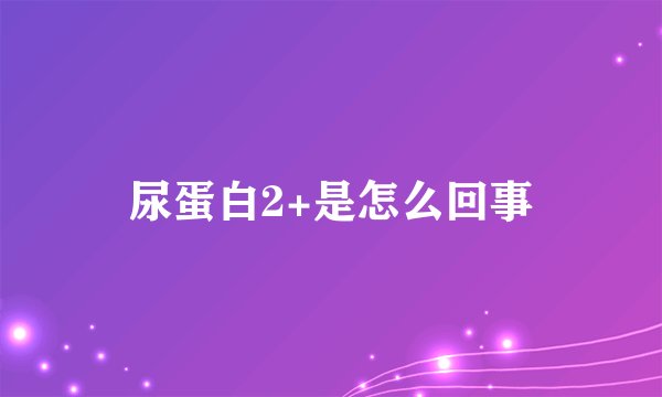 尿蛋白2+是怎么回事