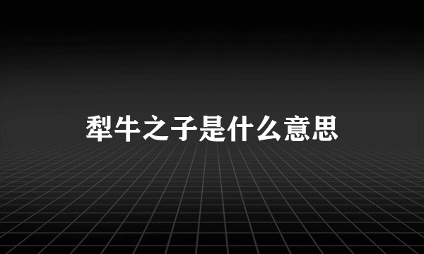 犁牛之子是什么意思