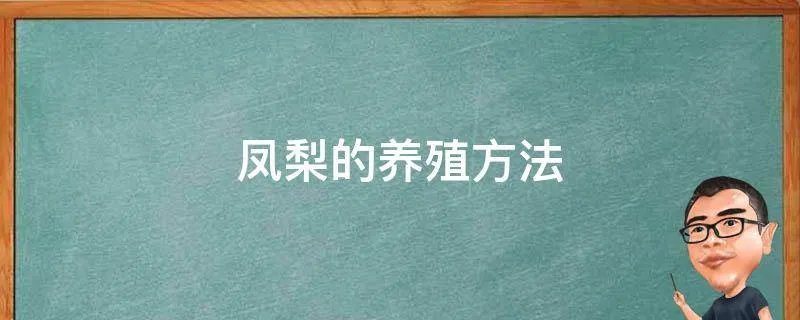 凤梨的养殖方法