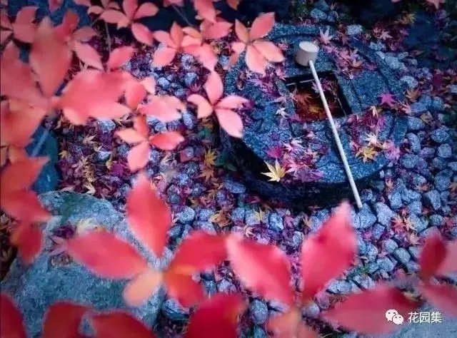 枯山水之置石造景艺术,就是这么有魅力~